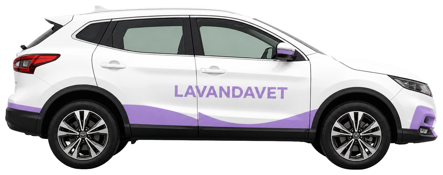 Машина выездной ветеринарной службы LavandaVet